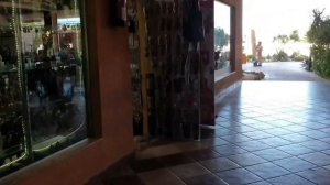 Rehana отель. Честный отзыв. Египет. Шарм эль шейх