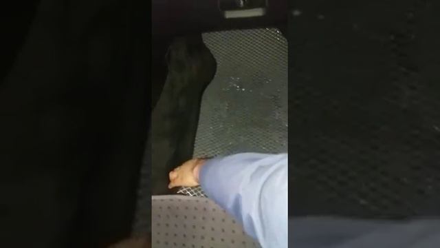 EVA avtokovrikner смотреть онлайн