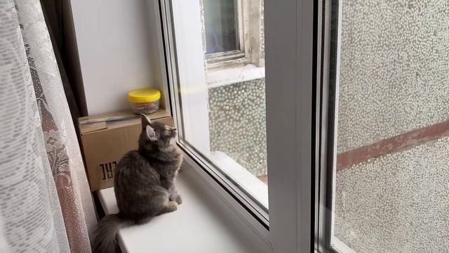 ВЛОГ ИГРАЕМ С ВИКУЛЕЙ ПРЯМ В КРОВАТИ! / У НАС ЗИМА! / МАСЯ ОХОТИТСЯ НА ПТИЧЕК! Дарья Рейнгард Life смотреть онлайн