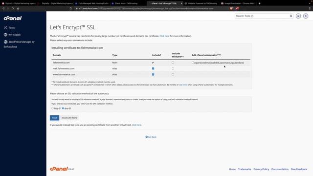 Easy Steps to Domain, Hosting, SSL, and WordPress Configuration смотреть онлайн