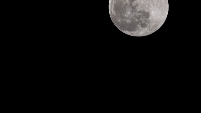 Nikon Z50 Nikkor 200-500mm смотреть онлайн