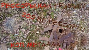 ЗАБЫТЫЕ ЗЕМЛИ! Рессоры, как грибы! Коп метала