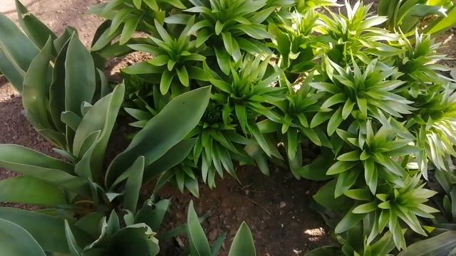 Николаев 26 марта 2022г. обед смотреть онлайн