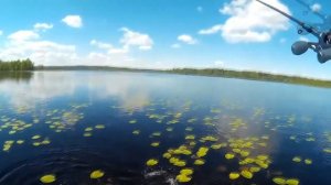 Заброс- Щучка/  Ловля на спиннинг с мультипликаторной катушкой Касткинг Стелс