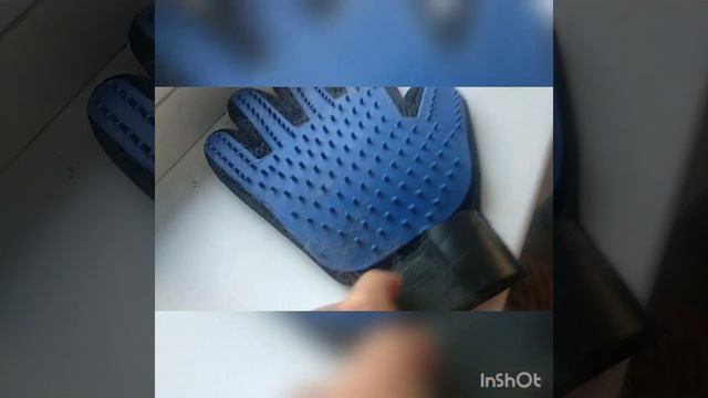 3 совета как помочь коту от жары смотреть онлайн