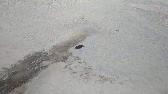 Экстремальная проверка детской горки на безопасность смотреть онлайн