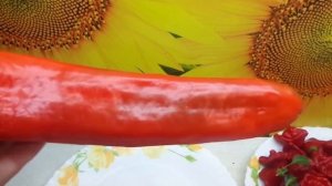 ПЕРЕЦ РАМИРО У МЕНЯ НЕ ВЫЗРЕЛ. Ольга Чернова.