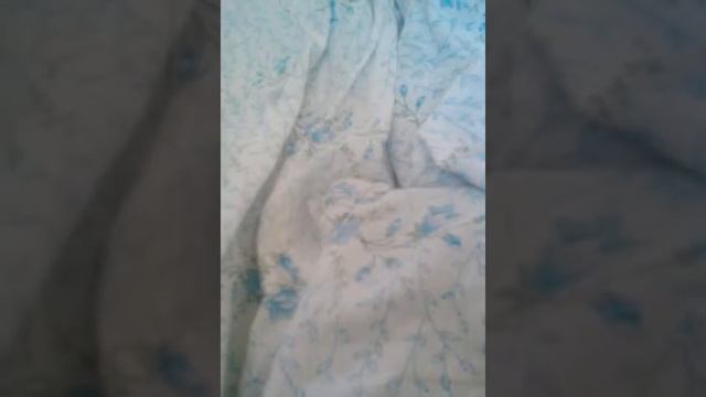 1 хищник из моих черепах. И один укус от черепахи смотреть онлайн