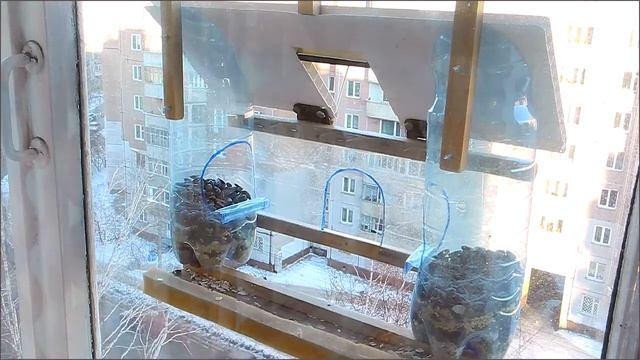 кормушка для птиц на балкон распаковка с Али смотреть онлайн