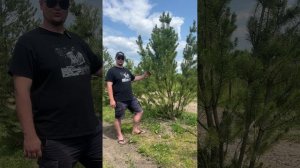 Курс по ландшафтному дизайну