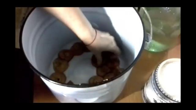 Вегетарианская Кухня