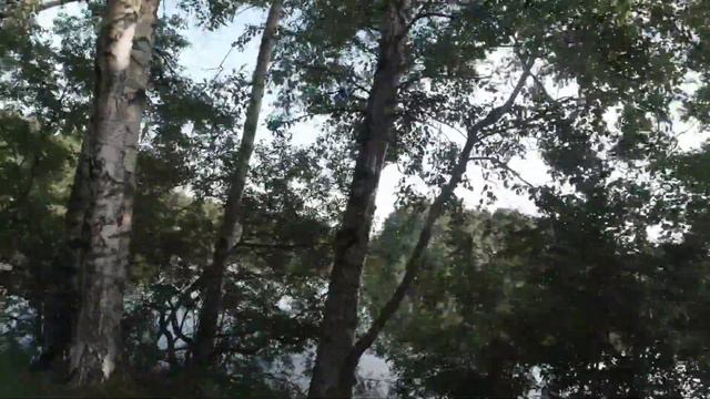 Катаю на Велике по Курортному району. Купаюсь в Озере. Лето. Солнце 🌞. Кайф. смотреть онлайн