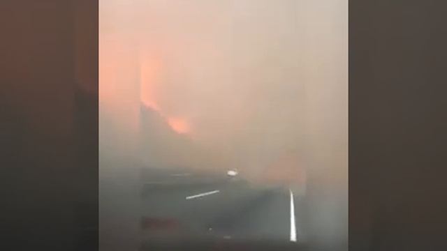 Пожары в Калифорнии девушка проходит мимо смотреть онлайн