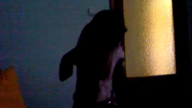 sisi THE DOG THAT SINGS смотреть онлайн