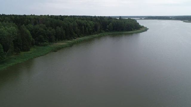 Бобер 2019 г. смотреть онлайн