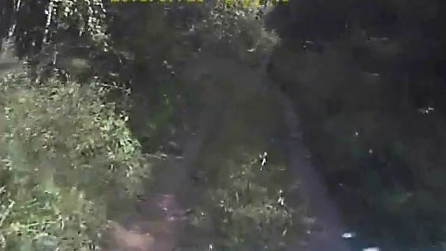Поездка за грибами Калужская обл РОССИЯ смотреть онлайн