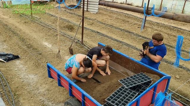 Готовим грунт для рассады и сеем семена огурцов в кассеты! смотреть онлайн