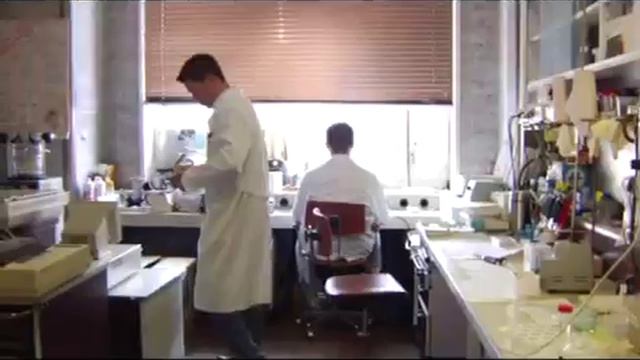 Информационно-молекулярная медицина профессора С.С.Коновалова смотреть онлайн