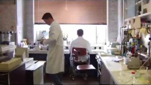 Информационно-молекулярная медицина профессора С.С.Коновалова