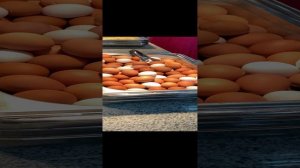 Отель Демократия 12-07-2024