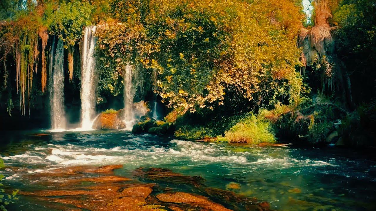 Красивая музыка для души Лесная Флейта и Гусли - Кирилл Богомилов смотреть онлайн