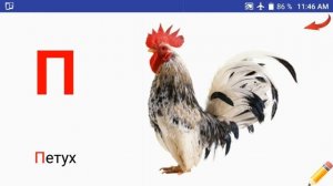 Звуки букв. Русский Алфавит. Учим буквы. Для детей.