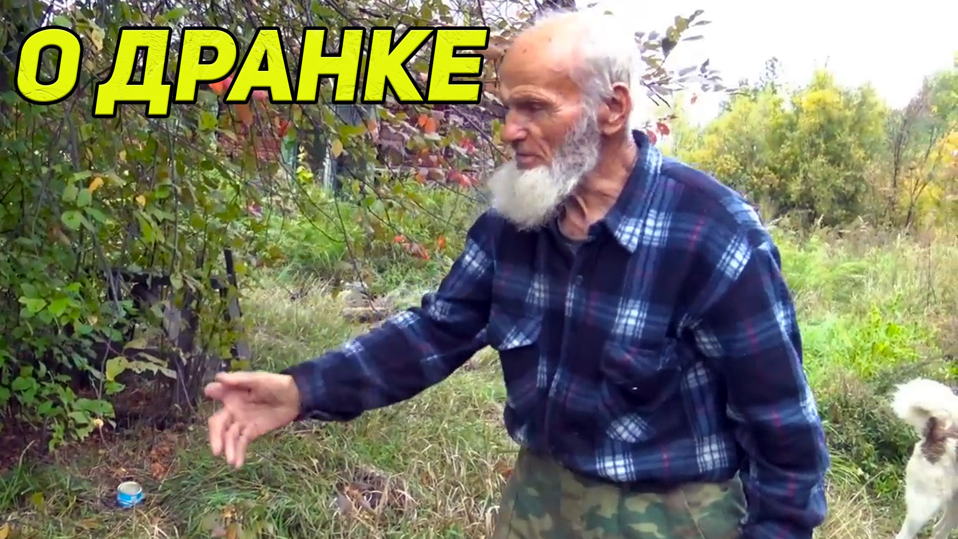 О дранке и о том, как ее драли. смотреть онлайн