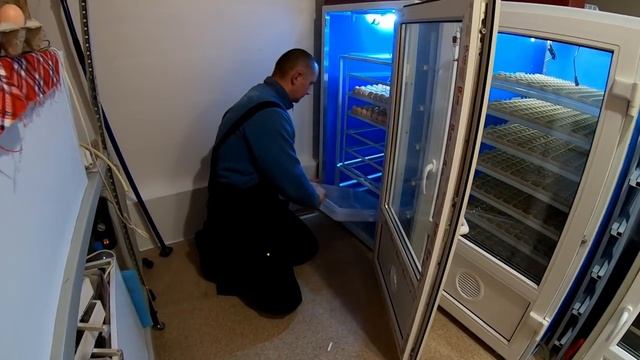 ПРАВИЛЬНАЯ ЗАКЛАДКА ЯИЦ В ИНКУБАТОР. ПРОВЕРКА ИНКУБАТОРОВ. смотреть онлайн