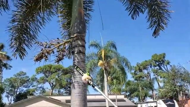 Our Point Of View On EGO Power+ Pole Saw Attachments From Amazon