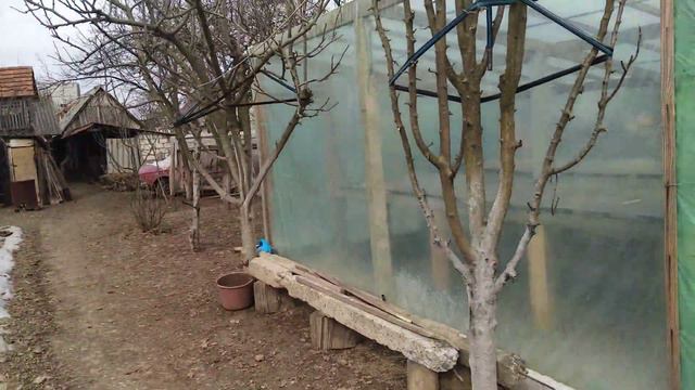 Підготовка грунту для посадки огирків 2019 смотреть онлайн