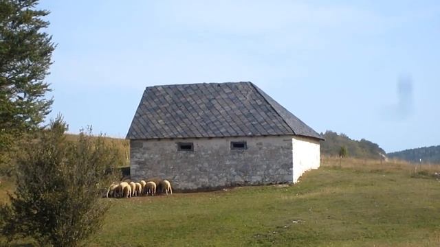 Ravna Gora - Žabljak - Veliko prisoje смотреть онлайн