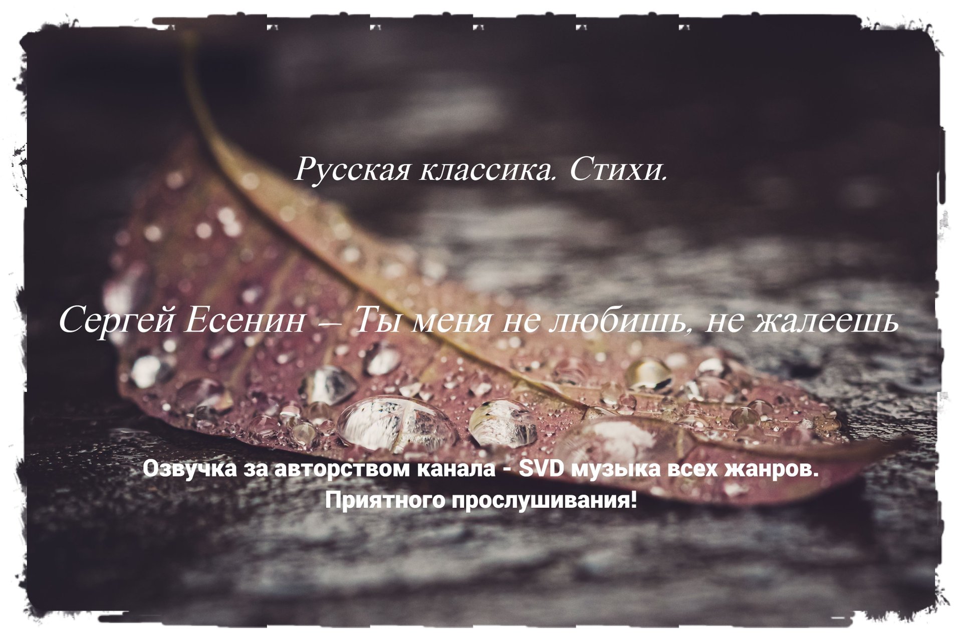 Русская классика. Стихи. — Сергей Есенин — Ты меня не любишь, не жалеешь ? смотреть онлайн