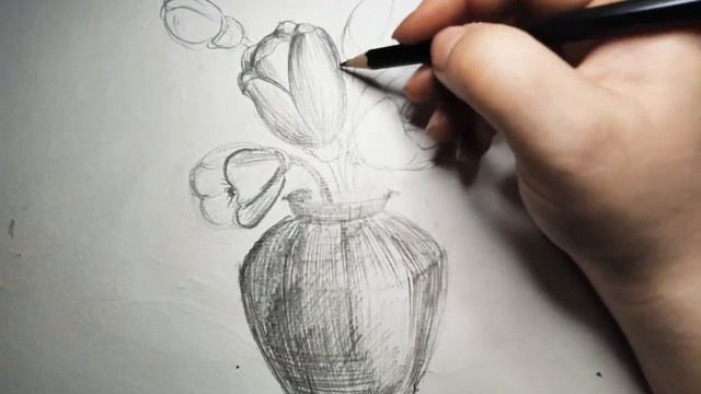 Рисунки натюрморт карандашом. Цветы в Вазе. Тюльпаны карандашом смотреть онлайн