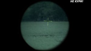 Охота на лося на рапсовых полях. Охота на лося - 2021г