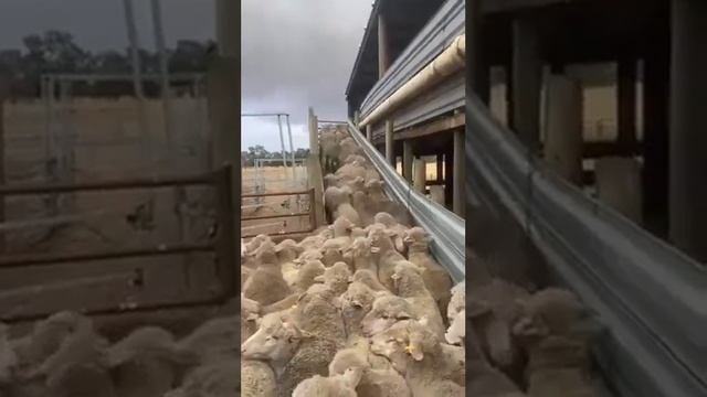 Нет преград на ее пути)) смотреть онлайн