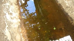 Прохудилась металлическая емкость на даче. Быстрый и дешевый ремонт.