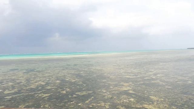Украинцы на Занзибаре |Что посмотреть?|Жизнь местных |Африка из Нутри!!!#travel смотреть онлайн