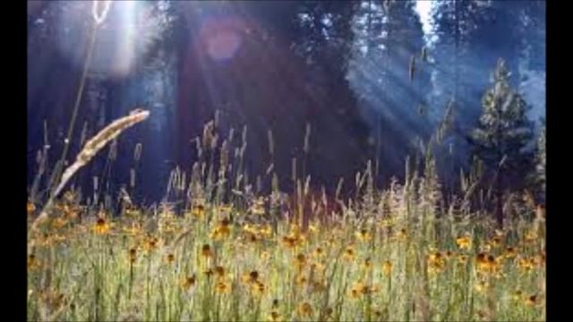 Медитация - Поиск источника внутренней силы смотреть онлайн