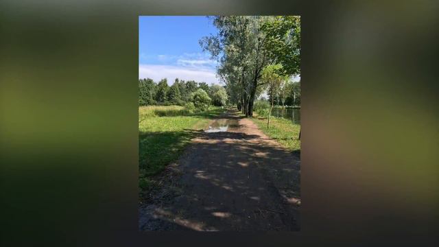 Пленэр в Петергофе. Мастерская БЕЛЫЙ ПАВЛИН СПб смотреть онлайн