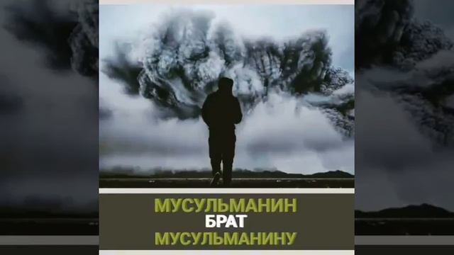 "Верный друг" это как лампа которая сияет в темноте! смотреть онлайн