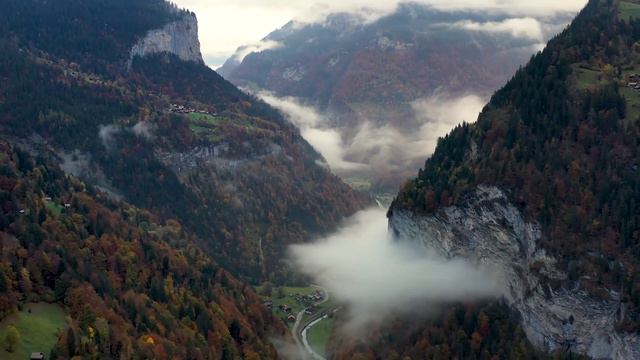 Classical music relaxes the soul and heart - Chopin, Mozart, Beethoven, Bach, Tchaikovsky 🎧🎧 смотреть онлайн