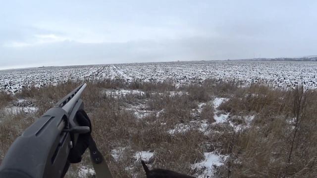 Охота на зайца 2021.О Открытие в кратце смотреть онлайн