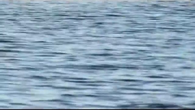 Мелеющее озеро Червоное смотреть онлайн