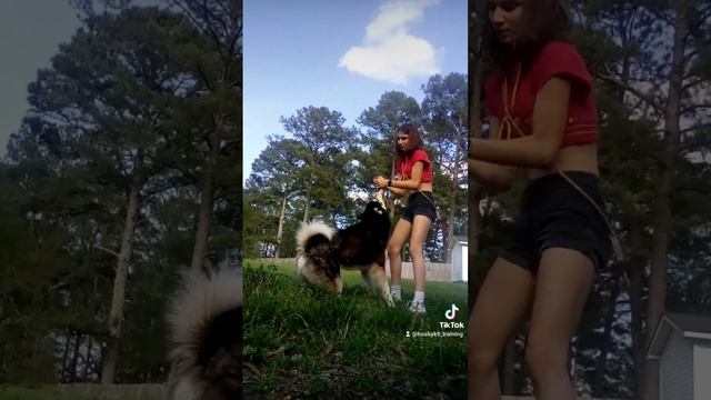 Strong boyyy💪💪💪 смотреть онлайн
