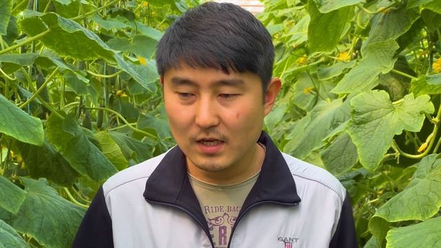 ВЫБИРАЕМ НИТРАТ КАЛЬЦИЯ! #агробизнес #удобрения #агроном #нитраткальция #кальций #нитрат #теплица смотреть онлайн