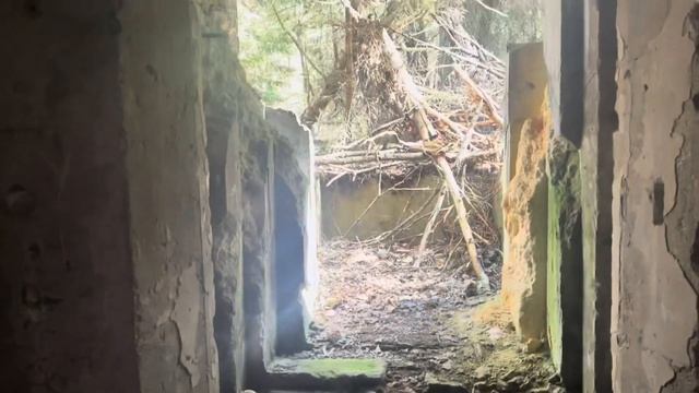 Plain Wonder: Naissaar 2023 (Kayak) смотреть онлайн