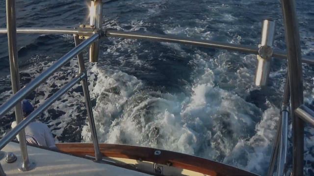 Мексика, Январь 2021 - зарисовка смотреть онлайн