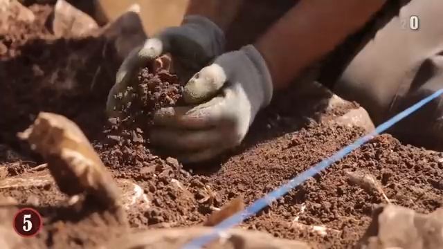 8 Most Valuable Treasures Recently Discovered! смотреть онлайн