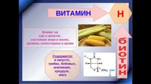 Биотин: для чего нам витамин В7, где он содержится?