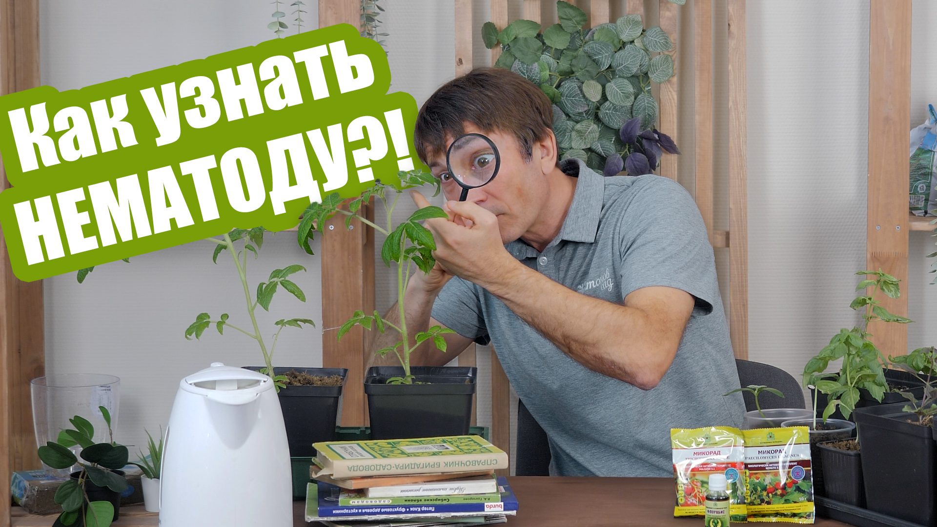 Нематода в огороде: 3 эффективных способа избавиться от нее! смотреть онлайн